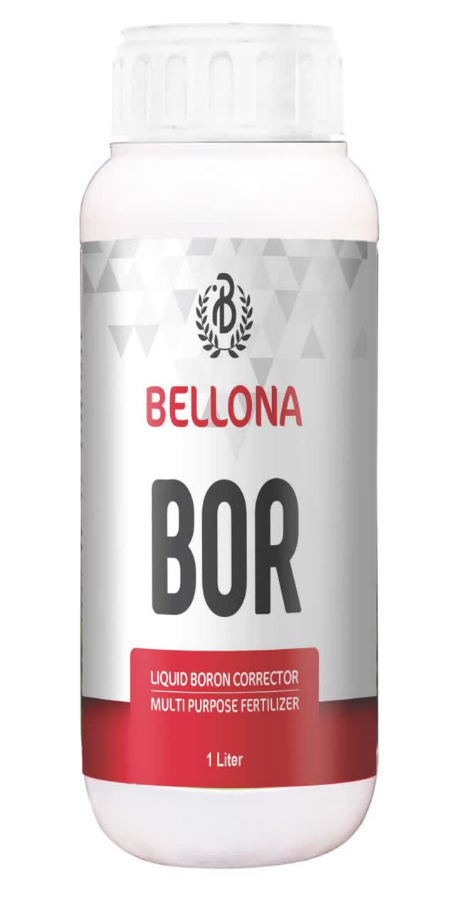 Bellona Bor بلونا