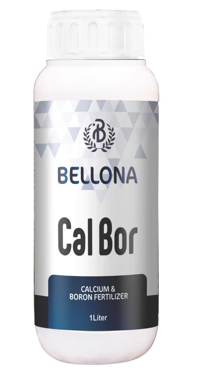 Bellona Cal Bor بلونا