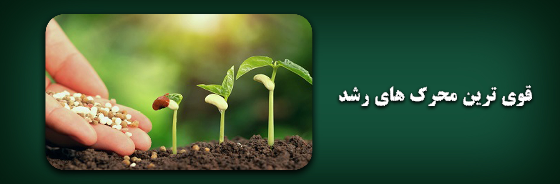 گل استایل