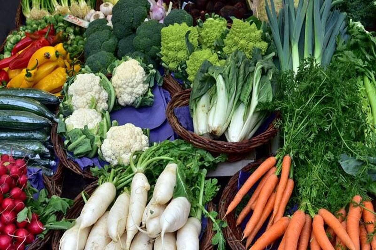کود سه بیست برای سبزیجات مزارع | گل استایل
