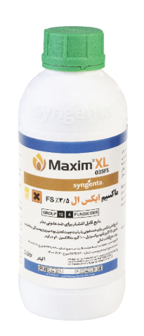 قارچ کش ماکسیم ایکس ال سینجنتا